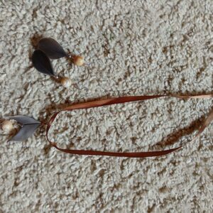 Parure trochus & plume